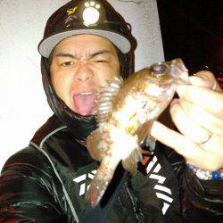 一匹いただきました！